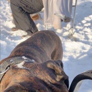 Meet your Posher, Ceanna